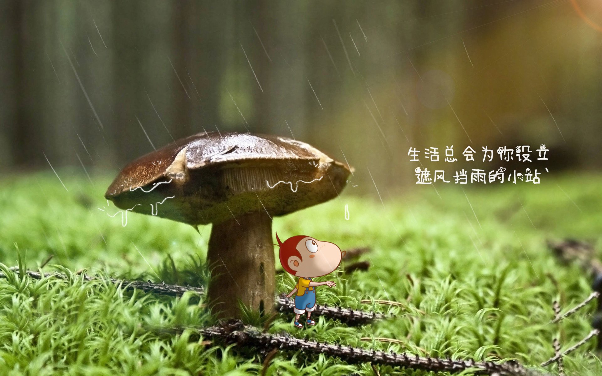 九游用户空间-_篮网团队协作沉稳，坚守联盟第一宝座_，篮网团队篮球