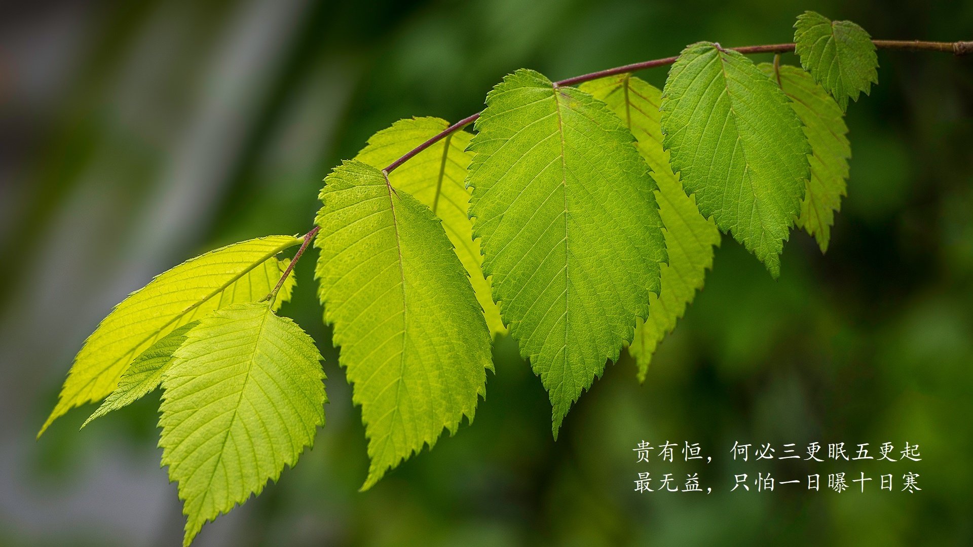 《劲舞团》全国联赛与《节奏大师》线上赛的音乐游戏电竞化，day by day劲舞团