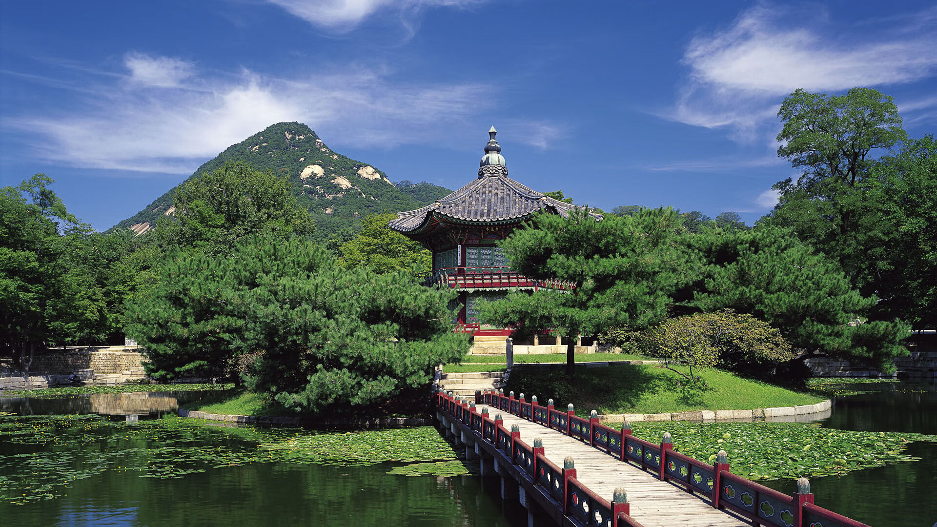 JiuyouAPP下载-伊朗男足在巴黎奥运会上展现出强大的团队协作能力，伊朗 男足