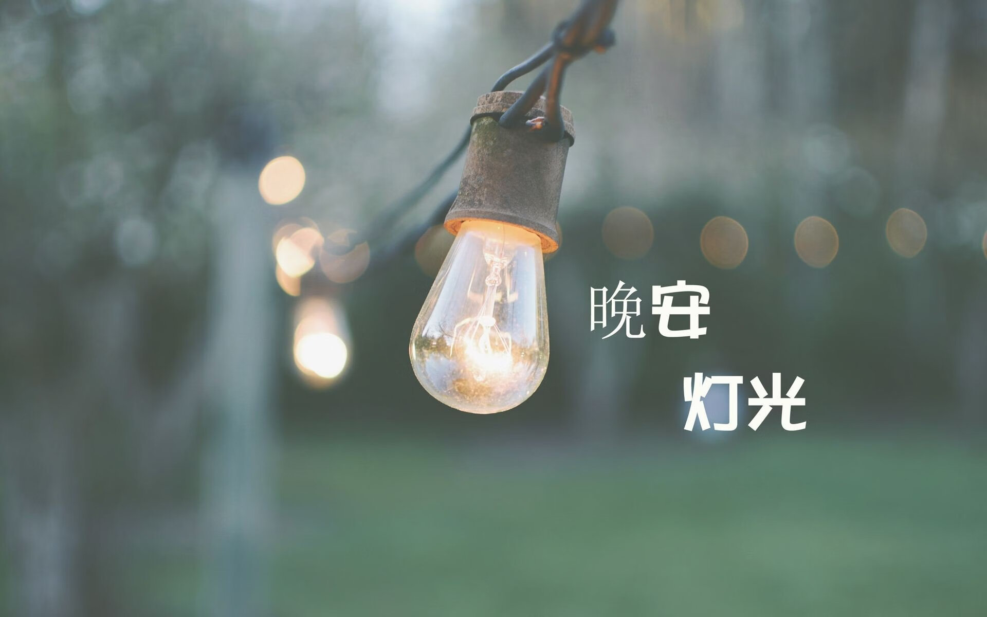 九游sports-萨索洛主场-击败都灵，贝里亚尔进球助攻领衔，萨索洛vs贝内文托