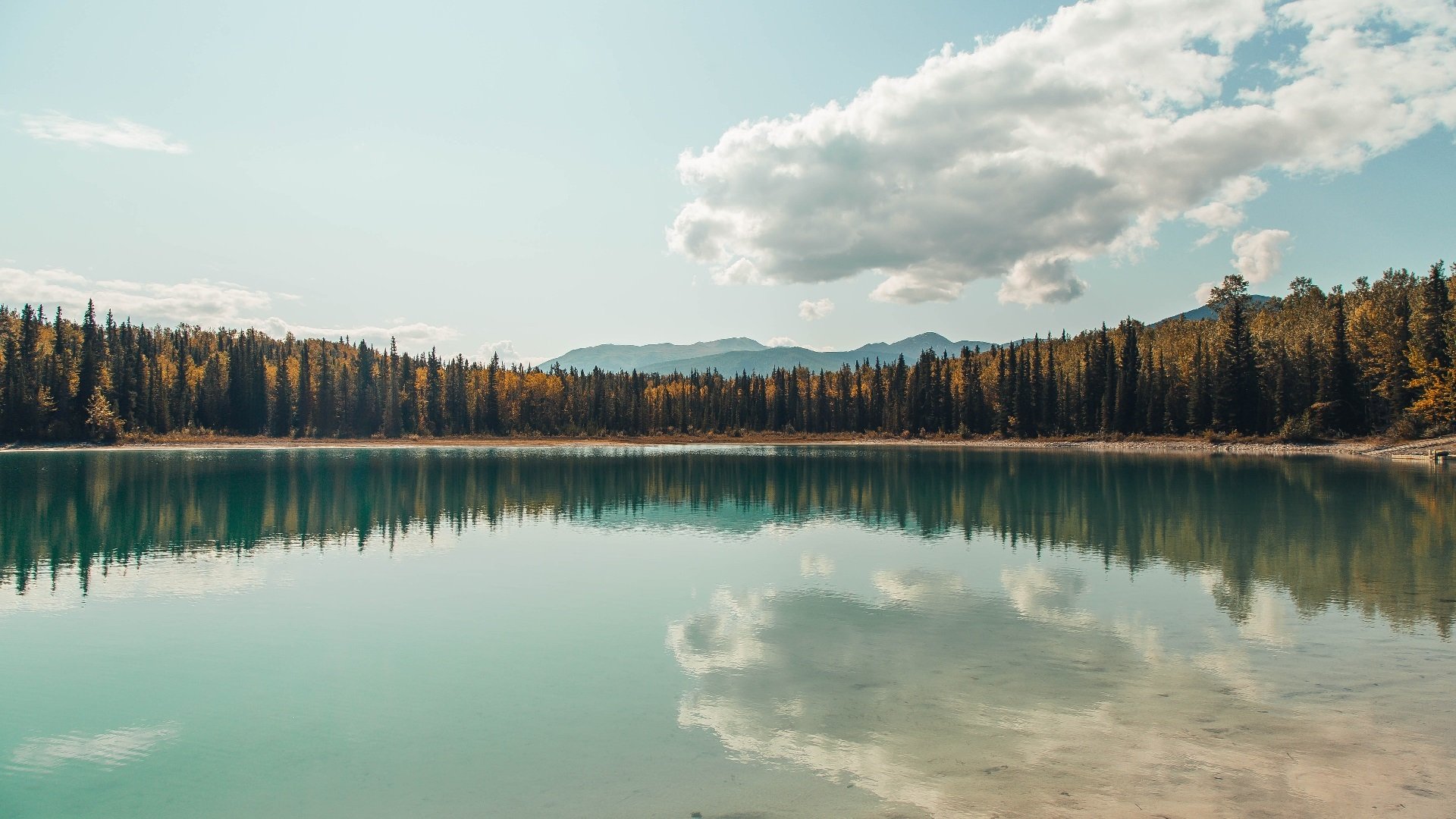 世界青年花样滑冰锦标赛中国选手再夺佳绩，世界青少年花样滑冰锦标赛冠军