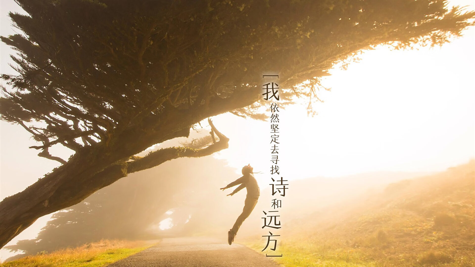 英超球队技术统计助力快速轮换效率提升,英超各队转会一览