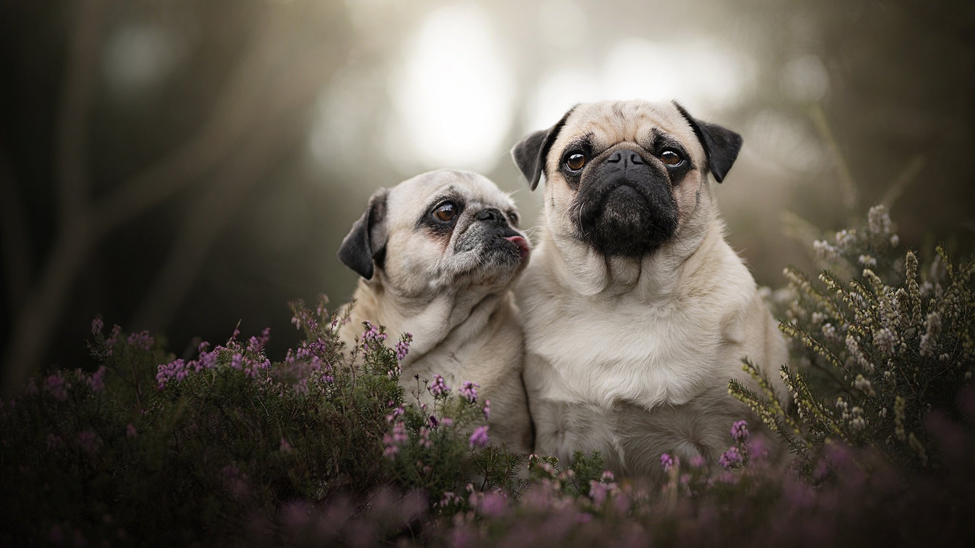 中超球队攻防两端调整见成效，中超战术