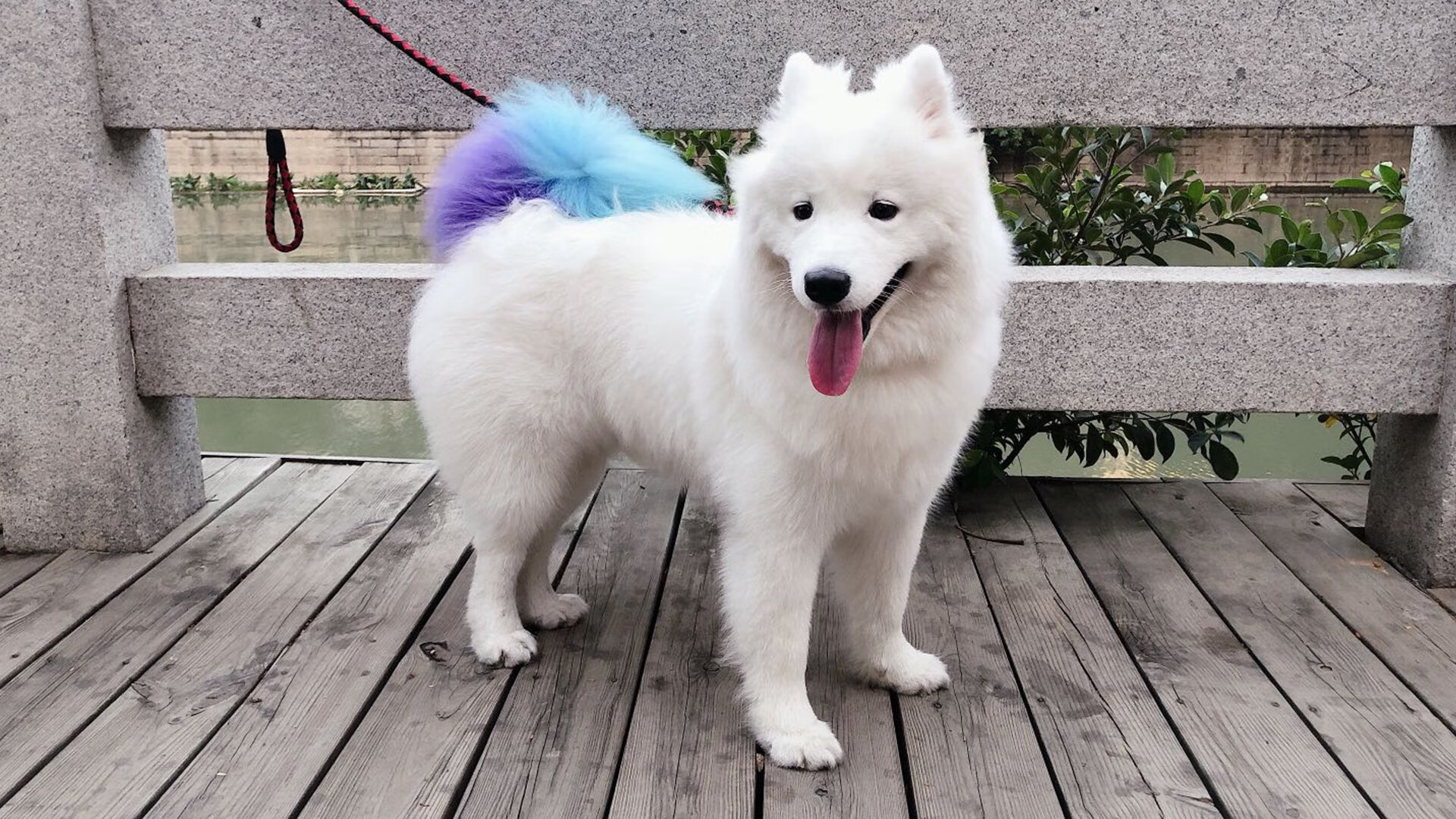 -体育新闻中心联合高校开展体育科技创新项目，体育产业科技创新