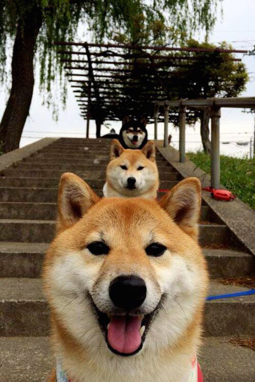 九游网游官网-搏击比赛激烈角逐彰显力量与技巧，搏击的比赛