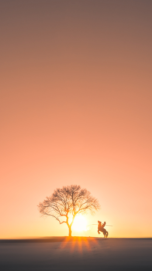 九游娱乐(jiuyou)官网-球队无奥运参赛历史，国际舞台等待突破，奥运落选赛参赛球队