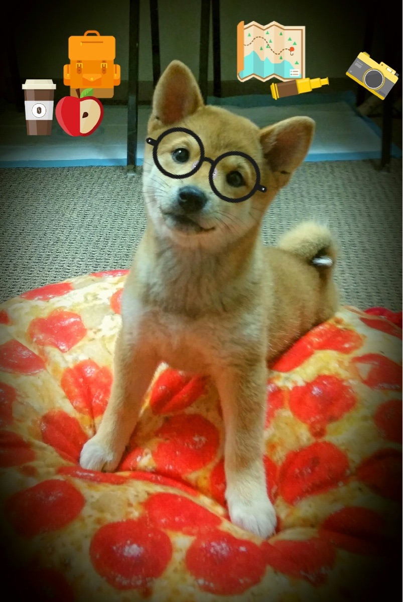 -英雄联盟辅助选手高光操作引发全网热议，lol高段位辅助