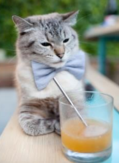 运动员心理健康管理体系完善，关于运动员心理素质培养