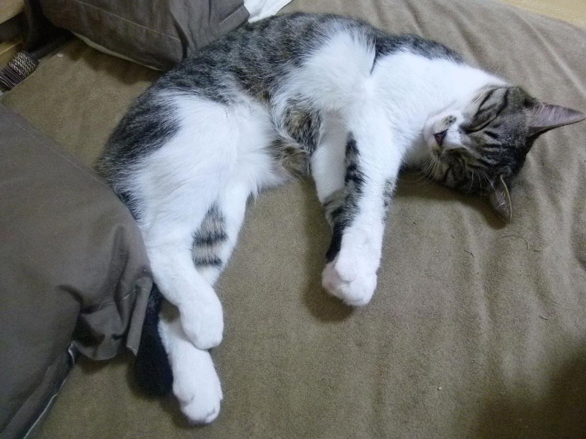 那不勒斯快速换位制造进攻错位优势，那不勒斯位置