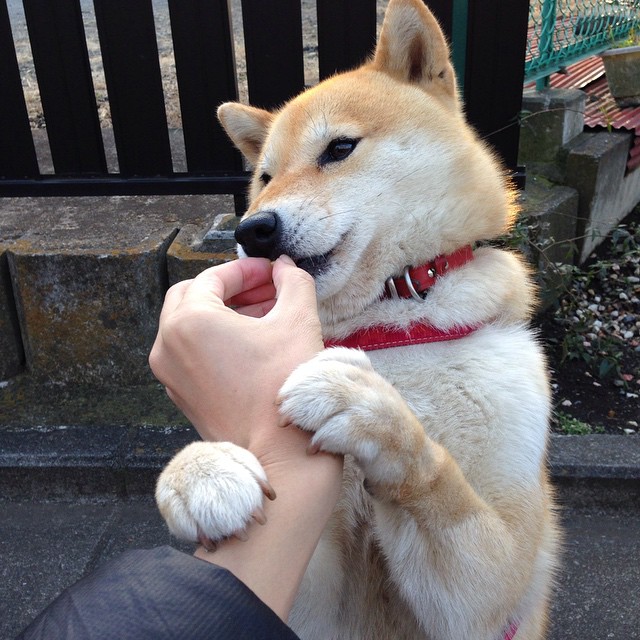 乌干达男篮在非洲预赛中奋战到底，迈向国际舞台的崭新篇章，乌干达篮球水平