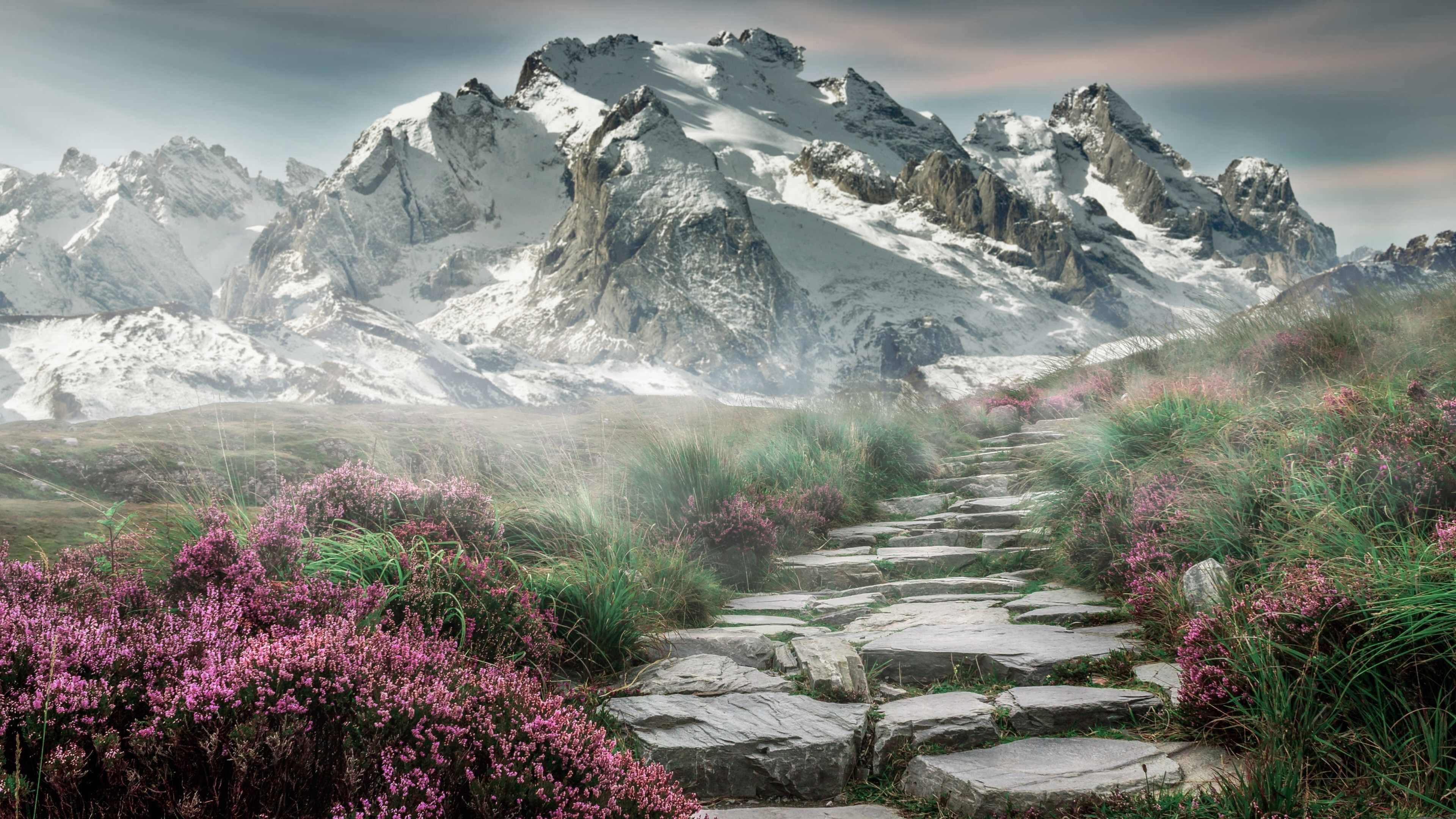 九游APP官网-利物浦新援融入迅速，力图在欧冠走得更远