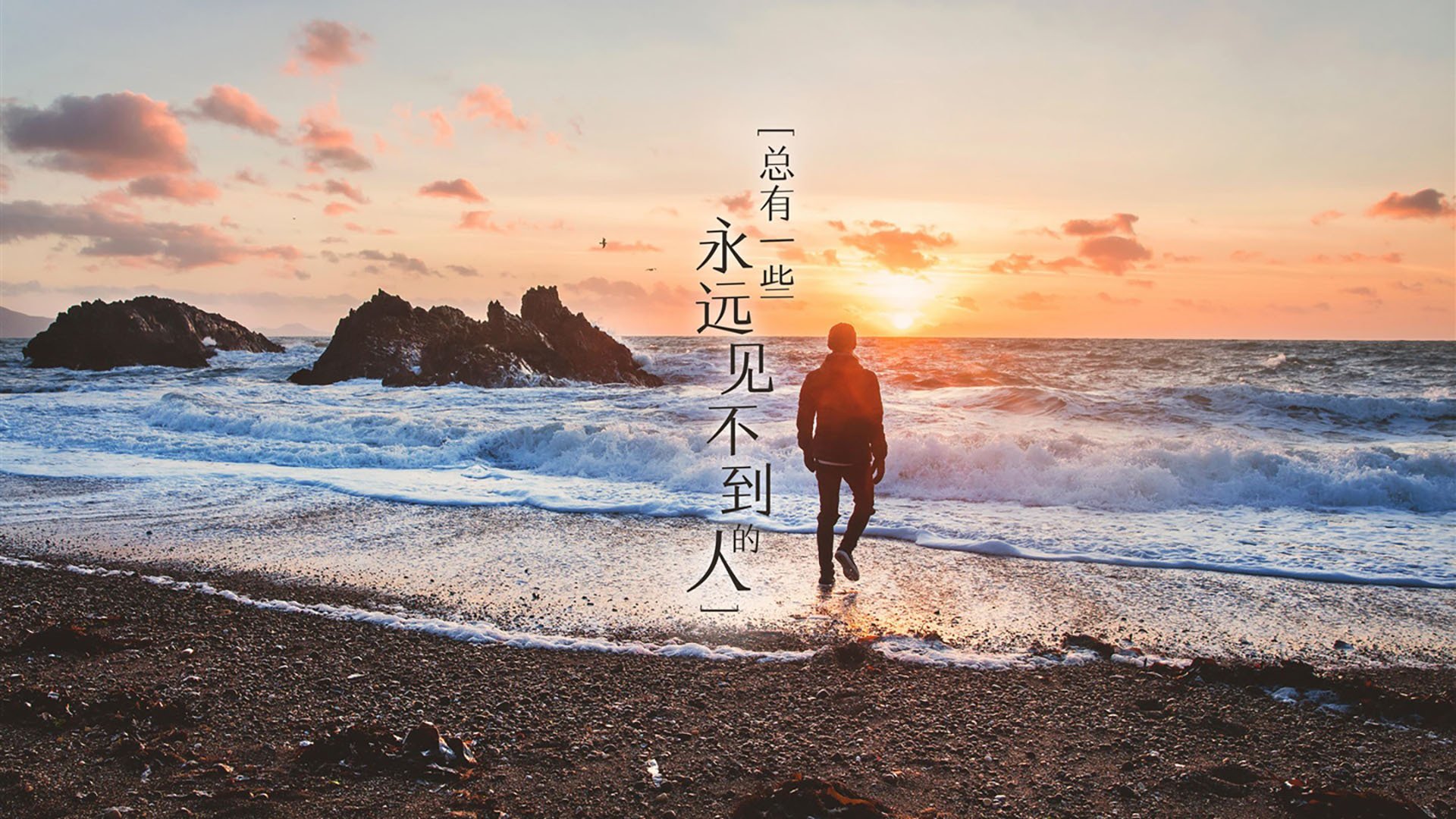 国王内部设定团队积分激励计划推动良性竞争,国王队伍