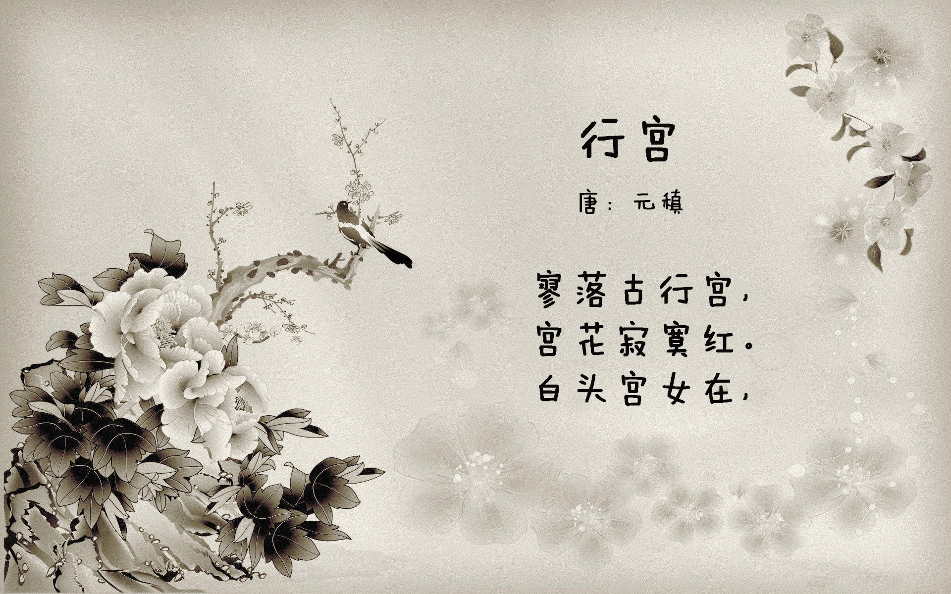 九游(jiuyou)官方网站-字母哥篮下强打无人能挡带领雄鹿连胜，字母哥5年2.28亿续约雄鹿