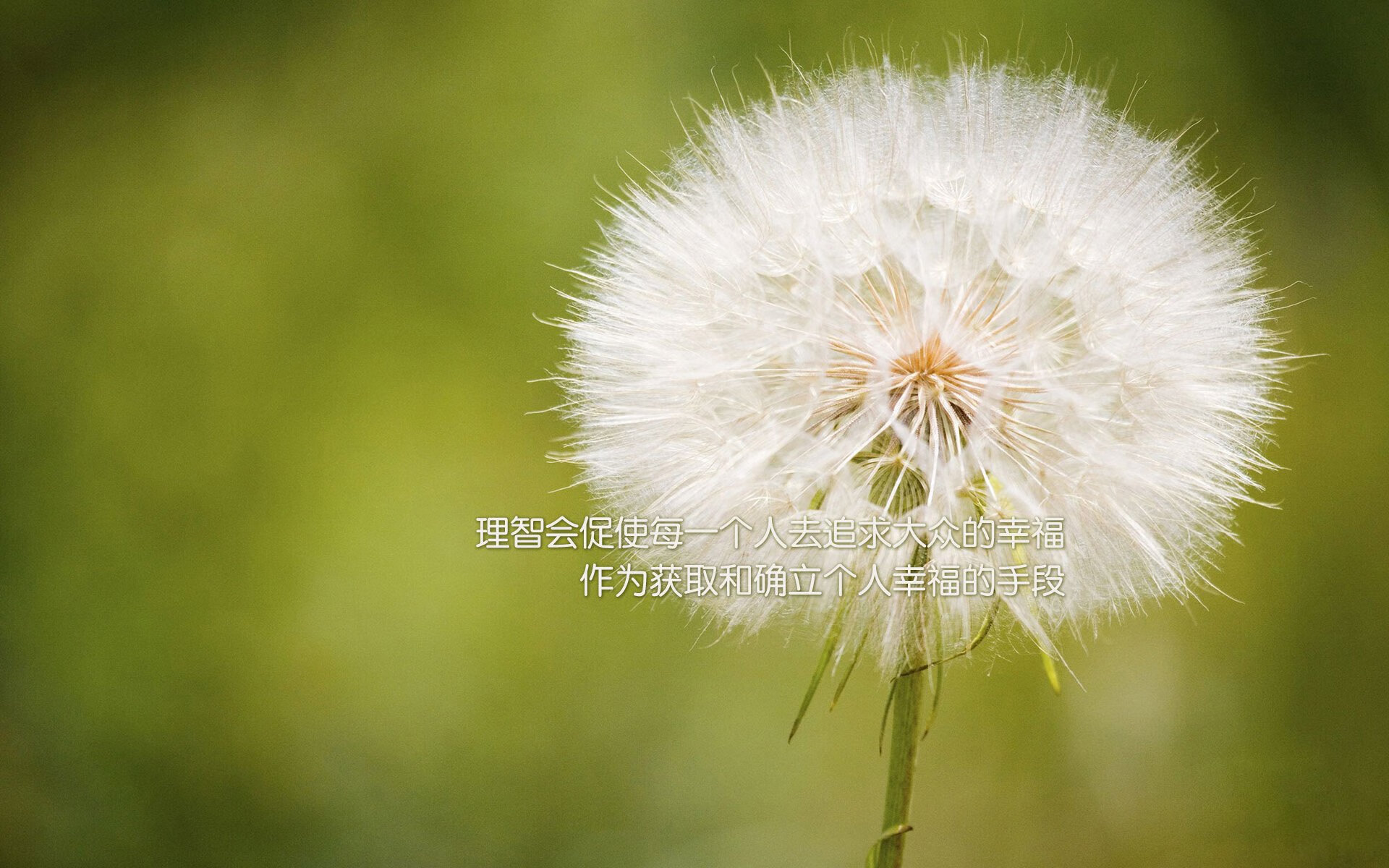 女篮阵容调整引热议，联赛选材成焦点，女篮 阵容