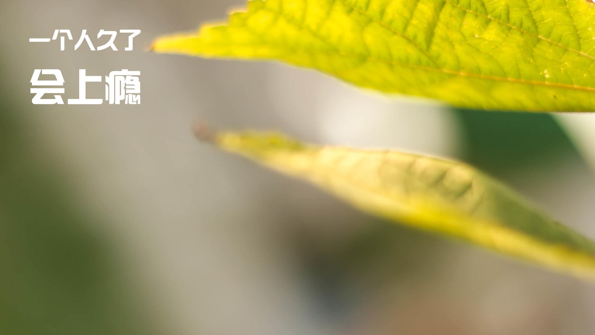 社区橄榄球计划惠及五万名儿童，橄榄球活动方案格式模板