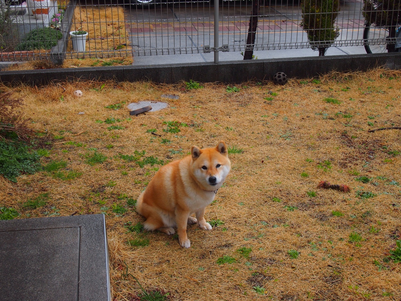 高校篮球推动篮球与学术结合促进人才培养,高校篮球教学现状分析与对策研究